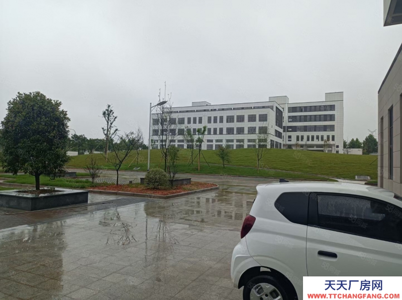 金华市金东(出售) 现房3层半户型，超宽主路，进出方便，位置优越，先到先得印刷 注塑 小加工