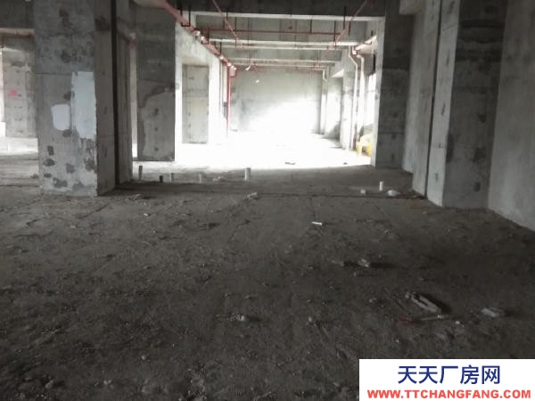 张家界市永定糕点厂房  市区金华苑临街办公写字楼，整层可分割出租