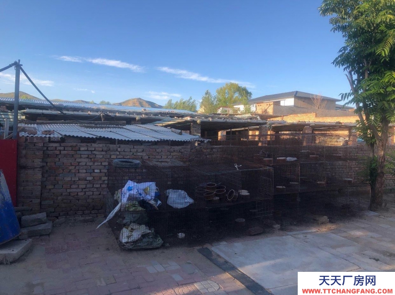 张家口 宣化  (出租) 急出租 独门独院适合休闲娱乐的农村小院