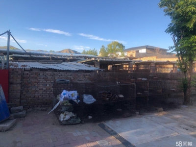 张家口 宣化  (出租) 急出租 独门独院适合休闲娱乐的农村小院图3