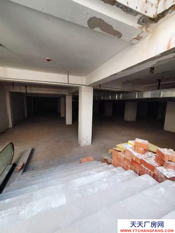 张家口 宣化  (出租) 地下一层，可整租，也可分租
