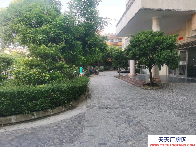 (出租) 汕尾海丰广东威文服装有限公司二楼可做服装