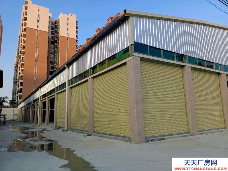 (出租) 汕尾海丰位于附城镇鲤鱼山工业区，交通方便。适合小型加工