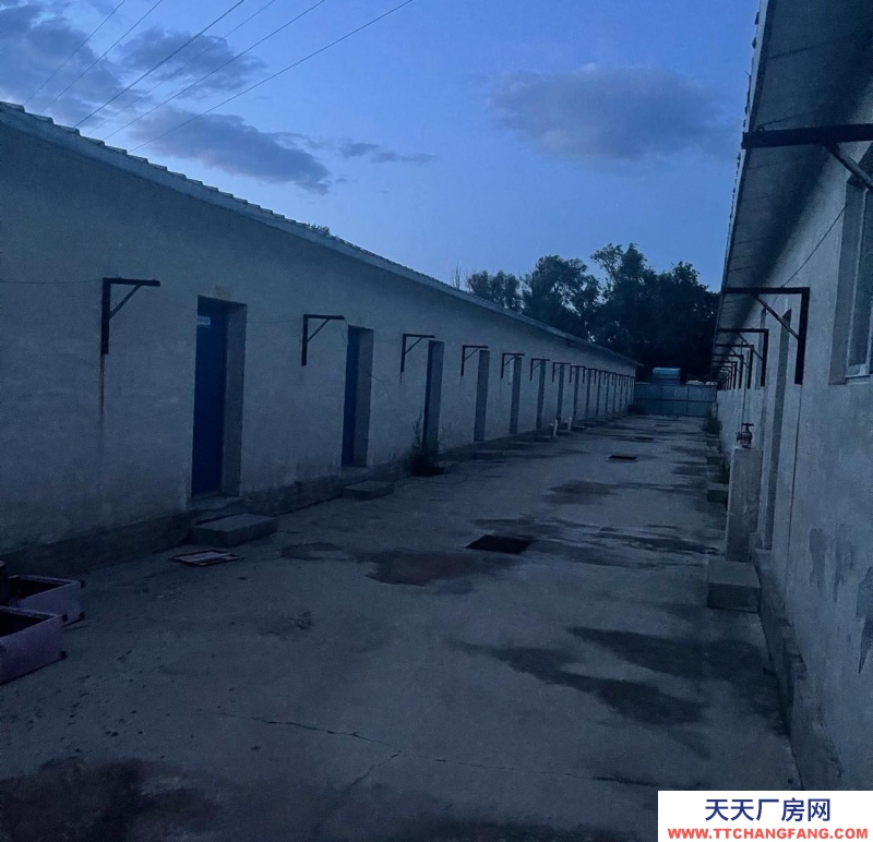 张家口 下花园 (出租) 食用油工厂临近马路交通便利