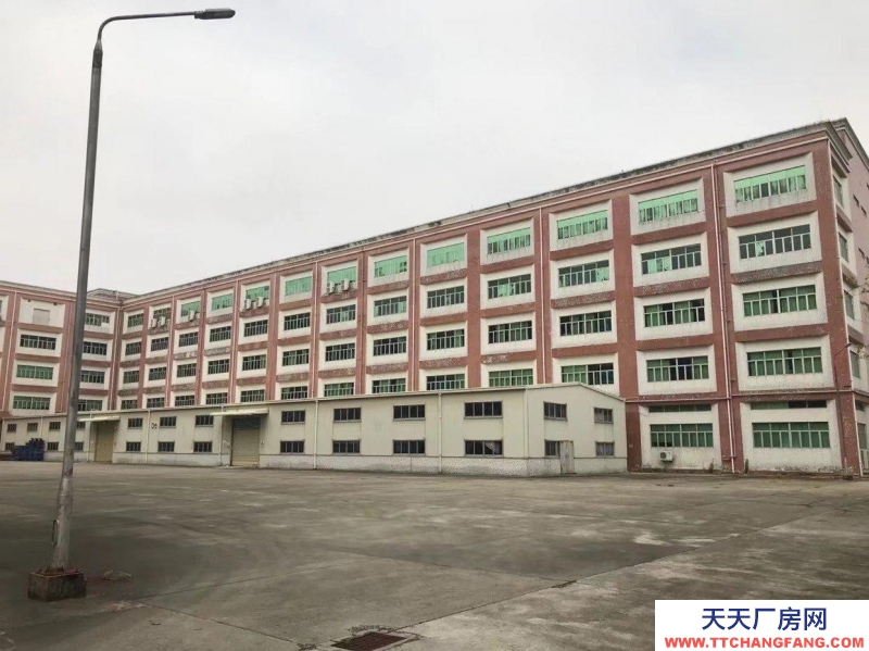 (出租) 汕尾海丰城东厂房 仓库 500-6000平方 配有三相电 消防适合纺织行业