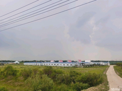 张家口 张北县 (出租) 自家调味品厂房出租出售价格面议！图2