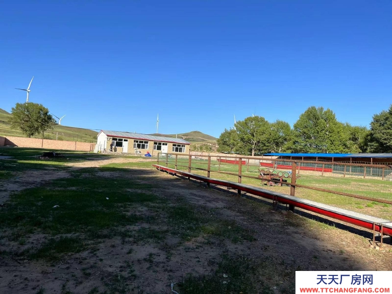 张家口 张北县 (出租) 养殖场出租，离天路近