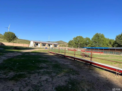 张家口 张北县 (出租) 养殖场出租，离天路近图2