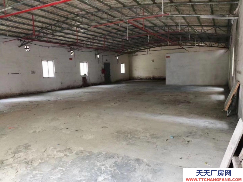 (出租) 汕尾海丰石塘北路 厂房出租 配有三相电和消防 可做任何行业