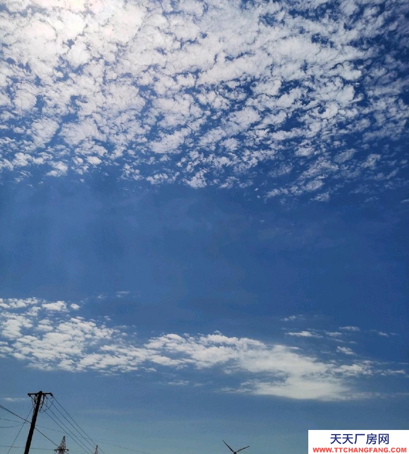 张家口 张北县 (出售) 多应用型土地，地段，环境好，可以盖别墅 名宿公寓等