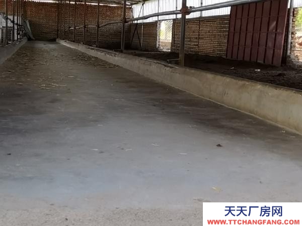 张家口 张北县 (出售) 现有一处3亩大院出售，位置紧邻张北县城2.5公里万人社区旁