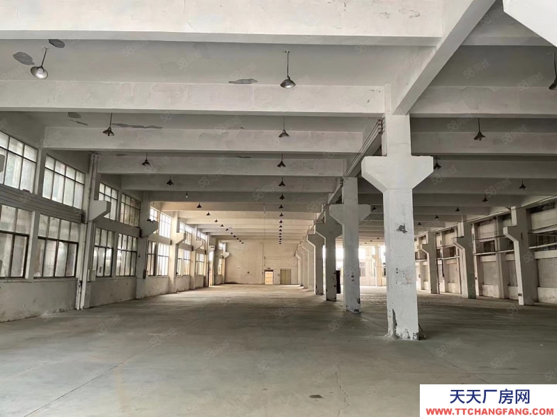 金华市武义(出租) 武义泉溪出租厂房一楼12000平方已经腾空马上交付使用珠宝加工 仓储 充电桩