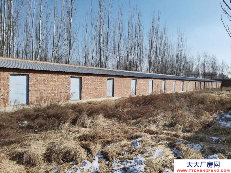 (出售) 和林格尔地址在呼市炼油厂南102省道30公里处，奶站