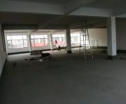(出租) 周口项城官会镇单层300平方，一二层整体框架，三层二室一厅一厨一卫