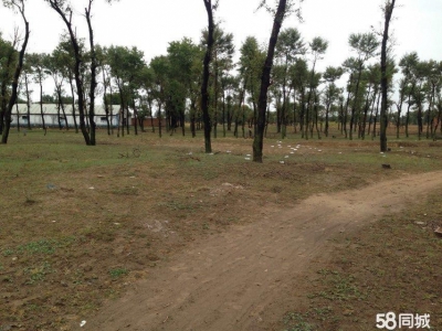 (出售) 土默特左旗沙尔营乡新圪力圪太村厂房养殖场图2
