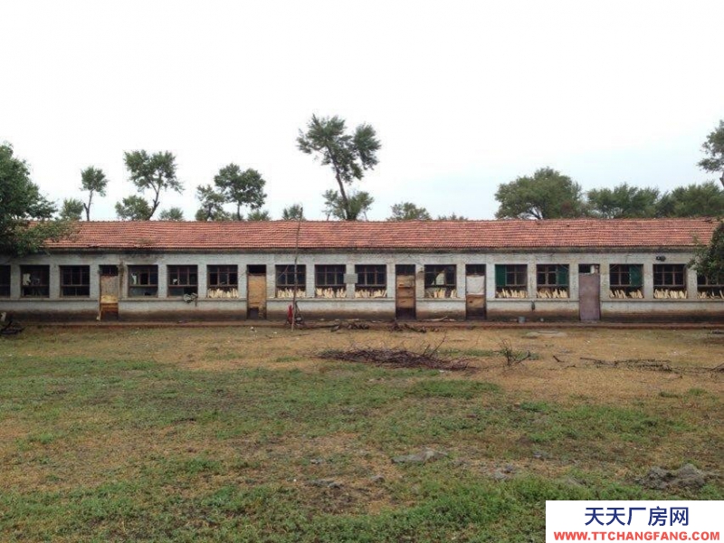 (出售) 土默特左旗沙尔营乡新圪力圪太村厂房养殖场