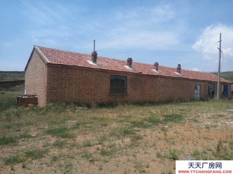 (出售) 武川 武川开发区 仓库 9900平米
