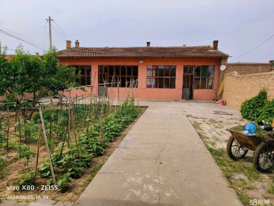 (出租) 托克托位于沙圪洞独院出租 可做食品厂房图1