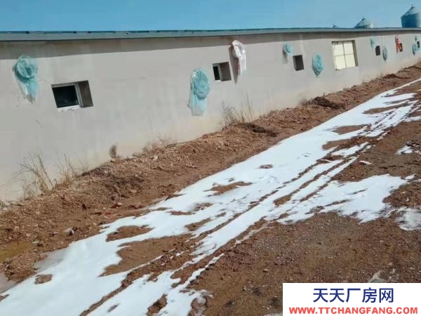 宾县宾县城区育肥猪场厂房出售