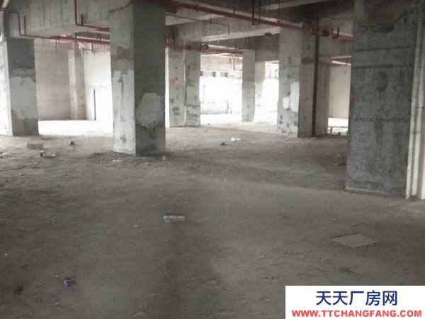 张家界市永定物资仓库 永定区西溪坪金华苑办公楼写字楼临街房屋，整层出租商业综合