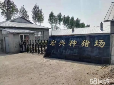 巴彦猪场基础设施良好，可直接进场图1