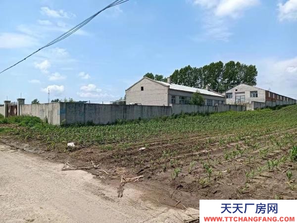 阿城占地7000平 厂房11000平 动力电 水井两处 机械厂房
