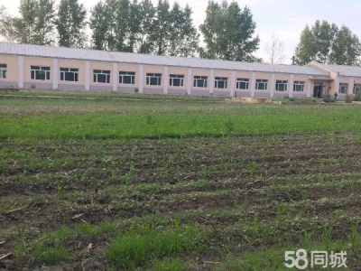 阿城出售厂房库房场地房屋8百多平方 大库1200平方 污水处理厂图1