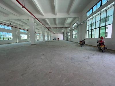 (出租) 河源源城区埔前镇工业园，新建独栋厂房分层出租，可办环评适合设备制造图2