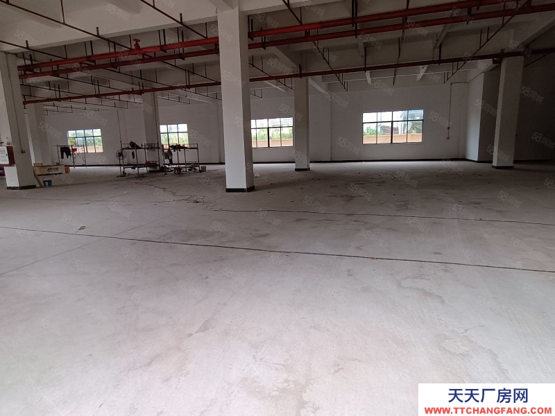 (出租) 河源市源城东源县徐洞工业园独院厂房出租适合预制菜加工