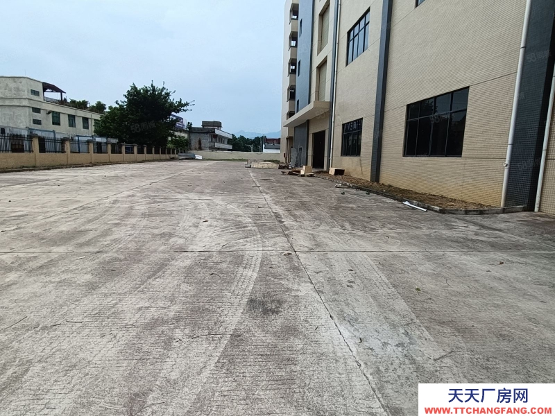 (出租) 河源市源城东源县徐洞工业园独院厂房出租适合预制菜加工