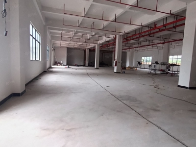 (出租) 河源市源城东源县徐洞工业园独院厂房出租适合预制菜加工图3