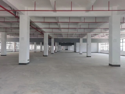 (出租) 河源市源城新建独院厂房共三万平方，可分租，有现成办公楼可做膨化食品图2