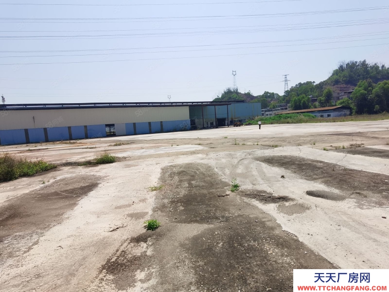 (出租) 河源市源城区独院厂房出租，空地20000平已硬化，厂房层高12米可做肉制品加工