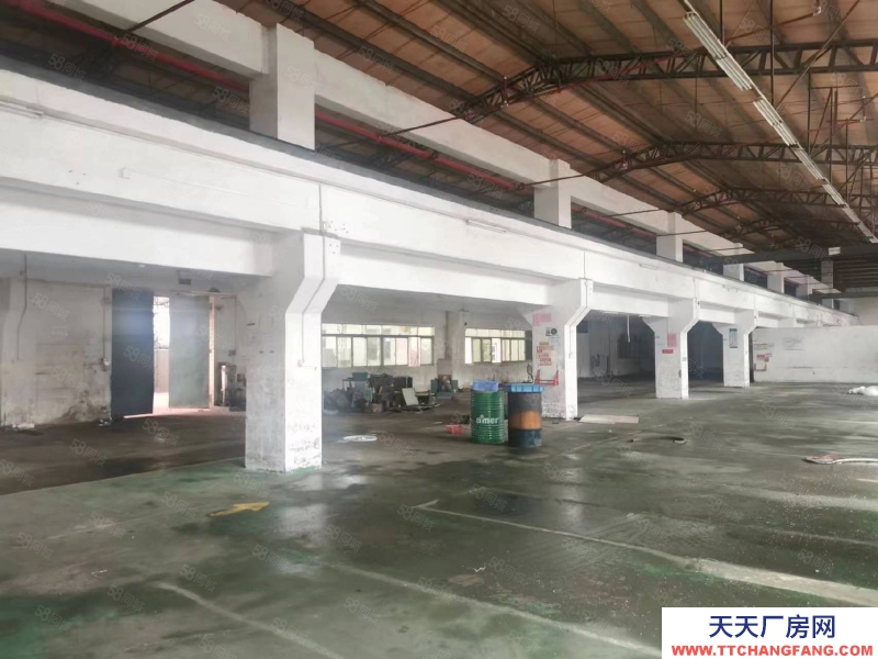 (出租) 河源市源城江东新区纬三路新出1200平米标准厂房价可做发酵制品行业
