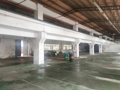 (出租) 河源市源城江东新区纬三路新出1200平米标准厂房价可做发酵制品行业图2