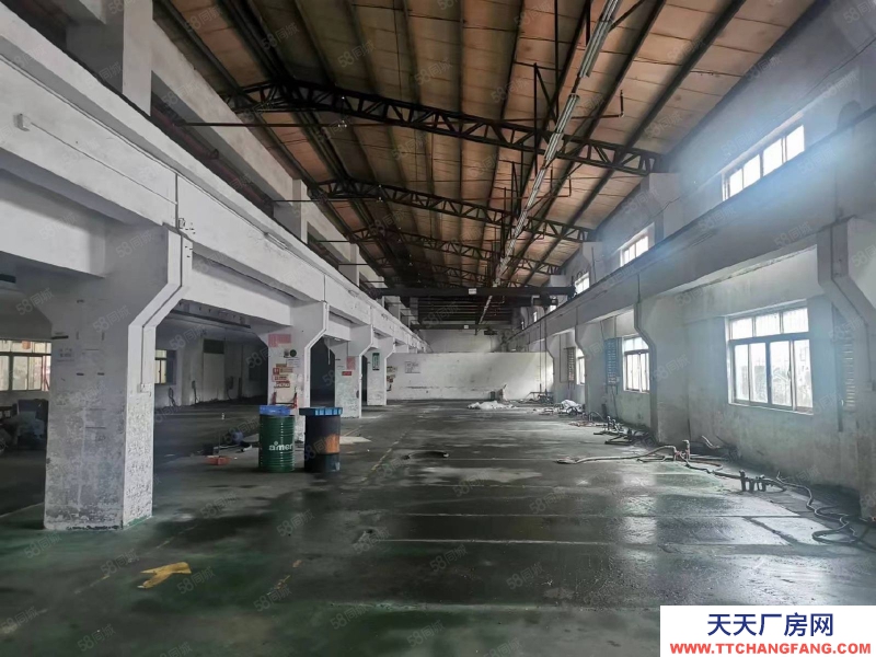 (出租) 河源市源城江东新区纬三路新出1200平米标准厂房价可做发酵制品行业
