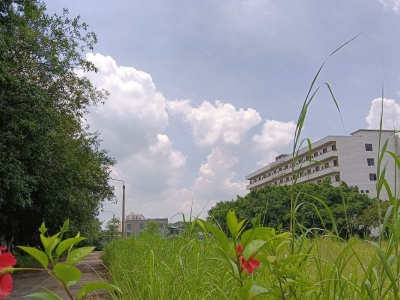 (出租) 河源市东源县原房东独门独院厂房招租可分租适合其他乳制品类图3