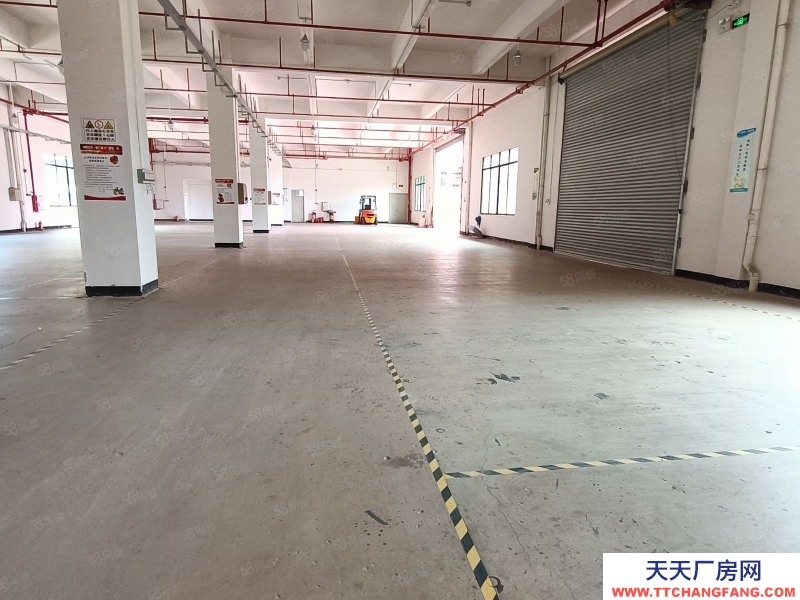 (出租) 河源市源城江东新区原房东标准厂房招租可做干制果蔬类