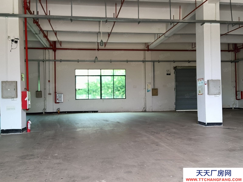 (出租) 河源市源城江东新区原房东标准厂房招租可做干制果蔬类