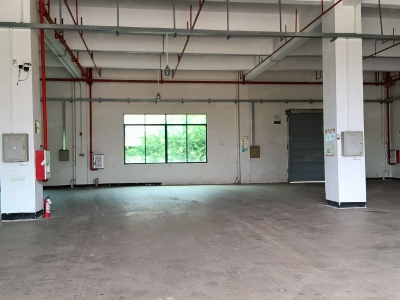 (出租) 河源市源城江东新区原房东标准厂房招租可做干制果蔬类图2