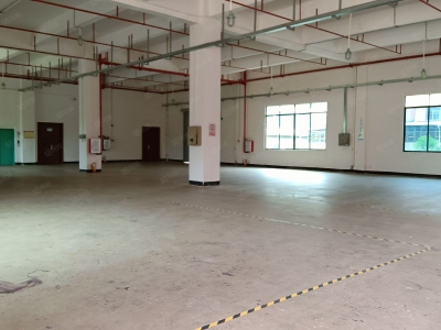 (出租) 河源市源城江东新区原房东标准厂房招租可做干制果蔬类图4
