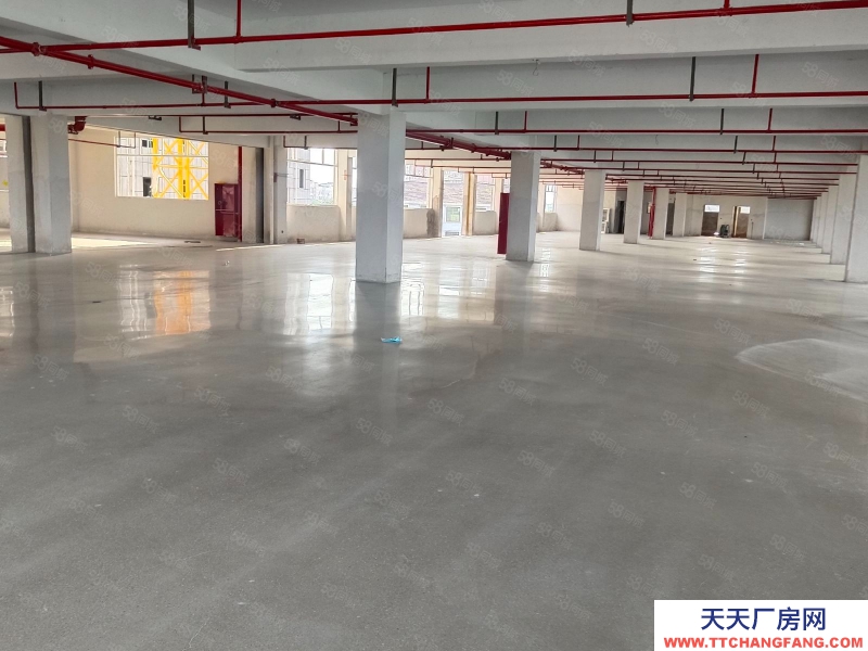 金华市浦江(出租) 黄宅全新2100平，可做轻污染行业