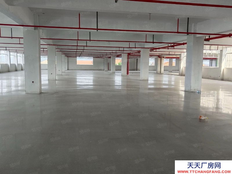 金华市浦江(出租) 黄宅全新2100平，可做轻污染行业