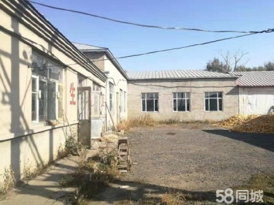 双城出租转让102京哈公路旁化肥厂房场地图1