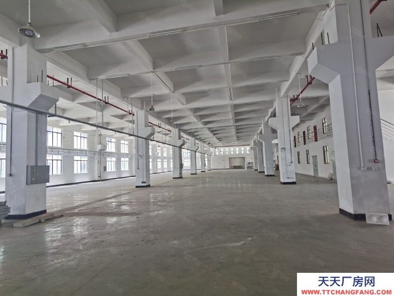 (出租) 河源源城区高新五路原房东独院出租23000平方可分租生产仓库均可做谷物膨化类
