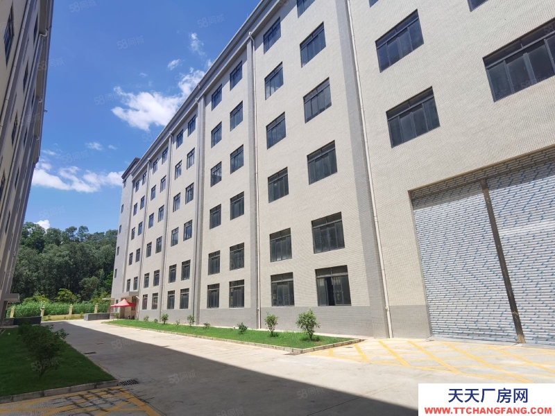 (出租) 河源源城区高新五路原房东独院出租23000平方可分租生产仓库均可做谷物膨化类