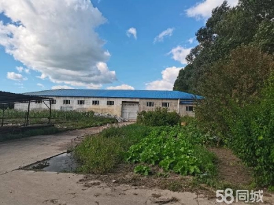 哈尔滨双城区标准家具厂房出租图1
