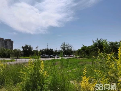 银川市金凤肉制品厂房  有小库房，多间宿舍，空地出租。图2