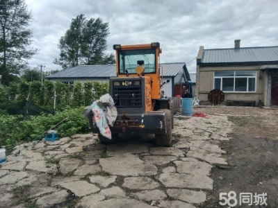双城场地养殖厂房圈舍场地出售图1