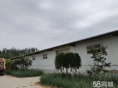 银川市金凤机加工厂房 租金面议，房子可分割